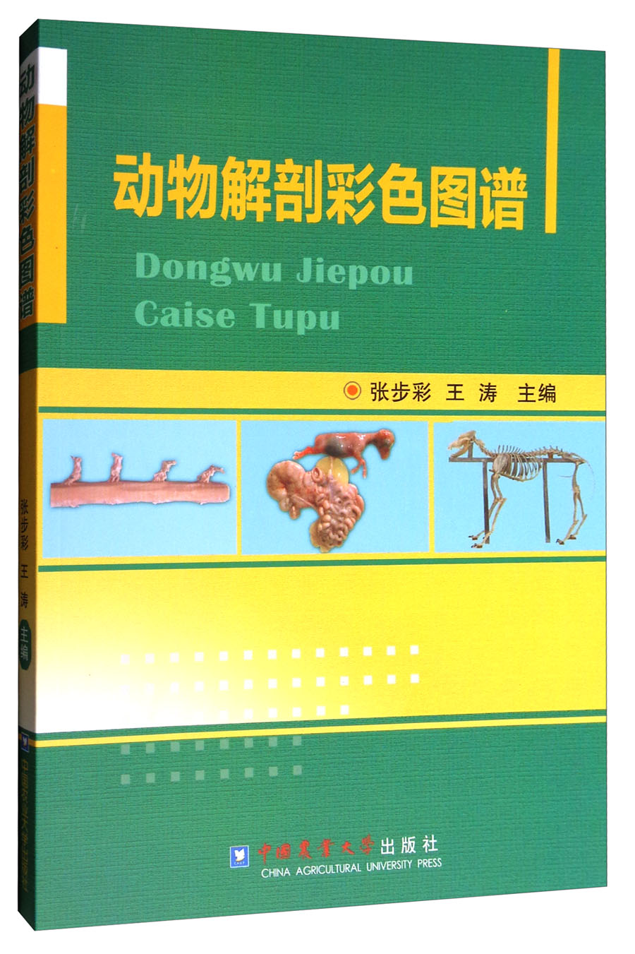 动物解剖彩色图谱
