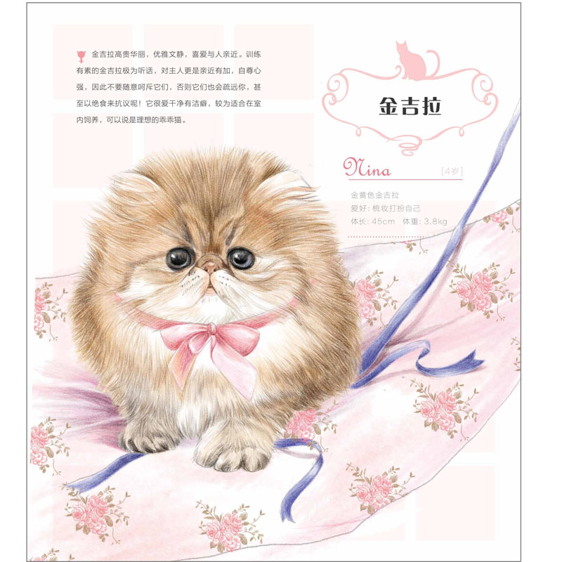 猫咪绘:33只萌猫的色铅笔图绘 飞乐鸟著彩铅画入门教程 素描艺术美术