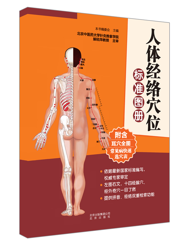 人体经络穴位标准图册