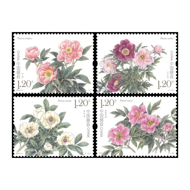 【捌零零壹】2019年邮票  2019-9 芍药 中国邮票收藏 套票