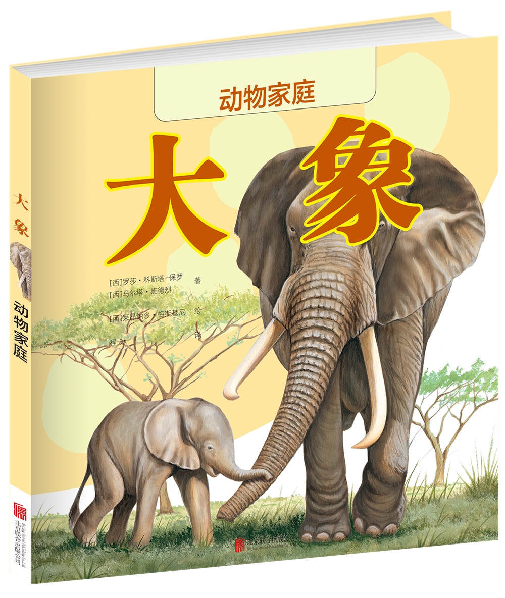 动物家庭:大象《现货速发》