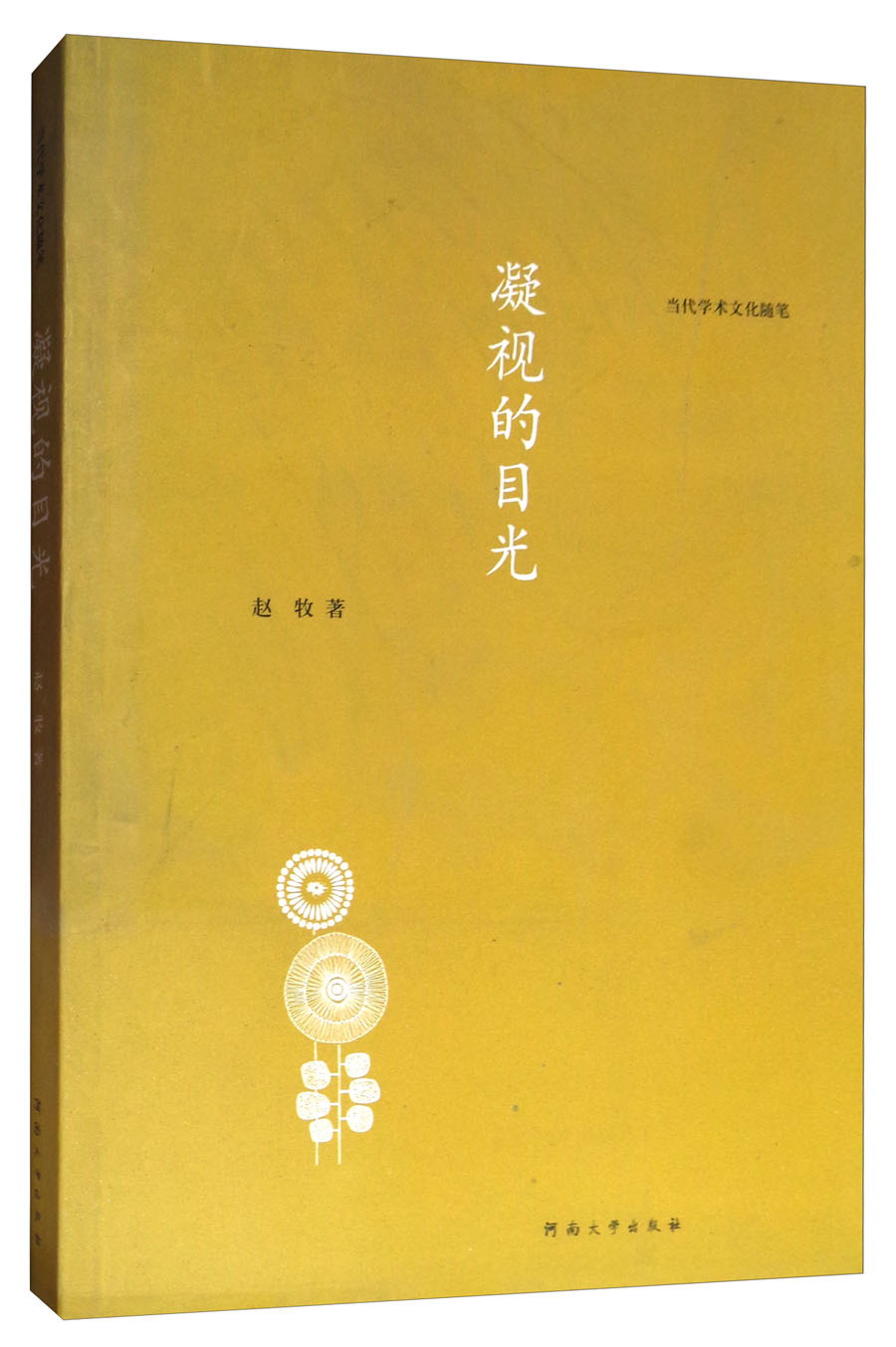 凝视的目光9787564918781河南大学出版社赵牧 9787564918781