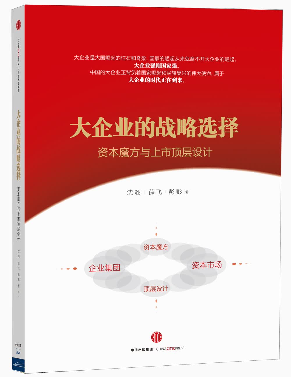 大企业的战略选择 资本魔方与上市顶层设计 沈翎等 中信出版社