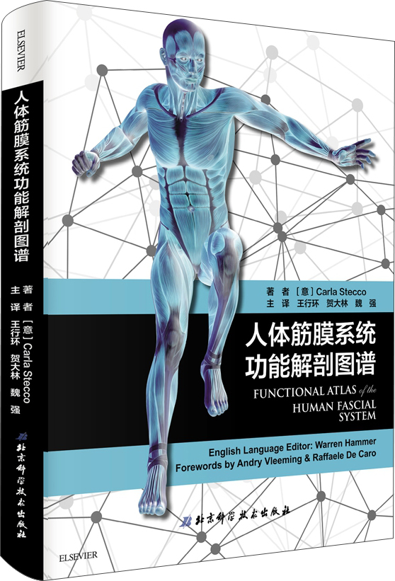 人体筋膜系统功能解剖图谱