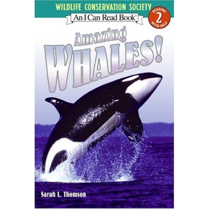 Amazing Whales!