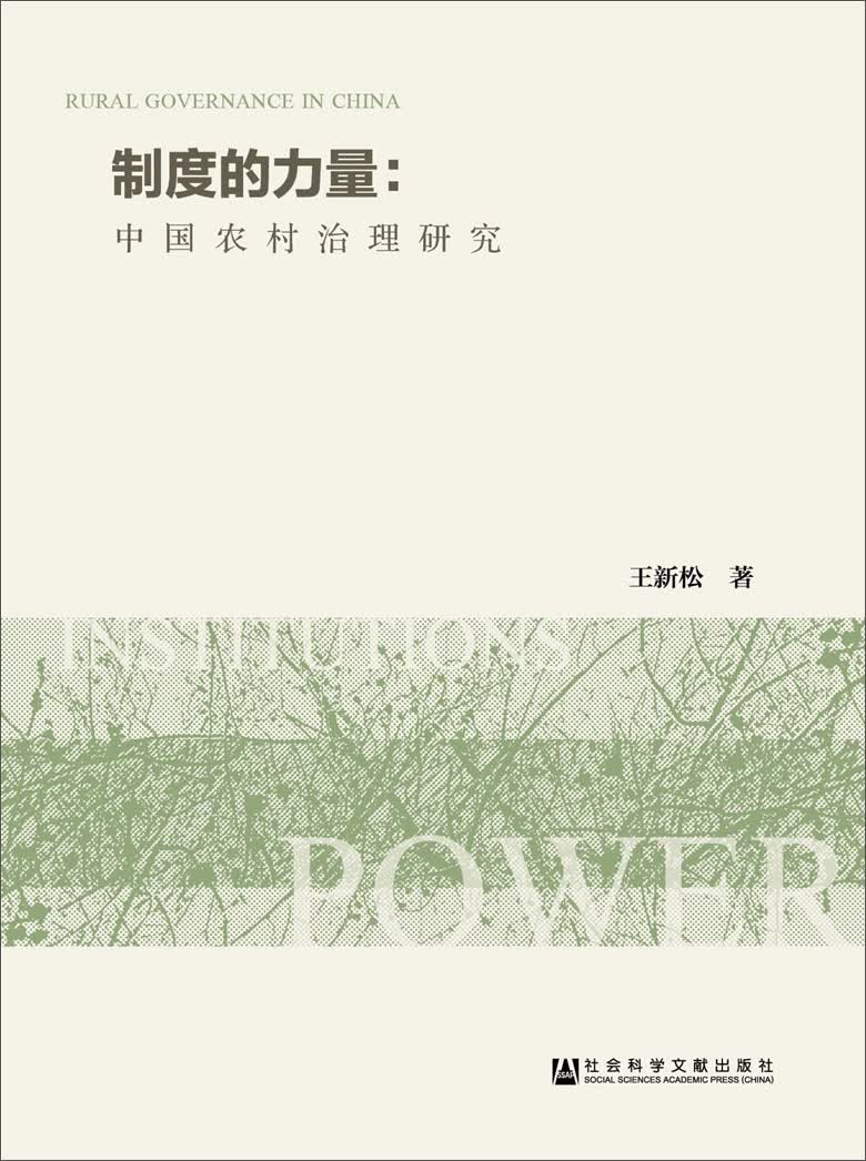 制度的力量：中国农村治理研究