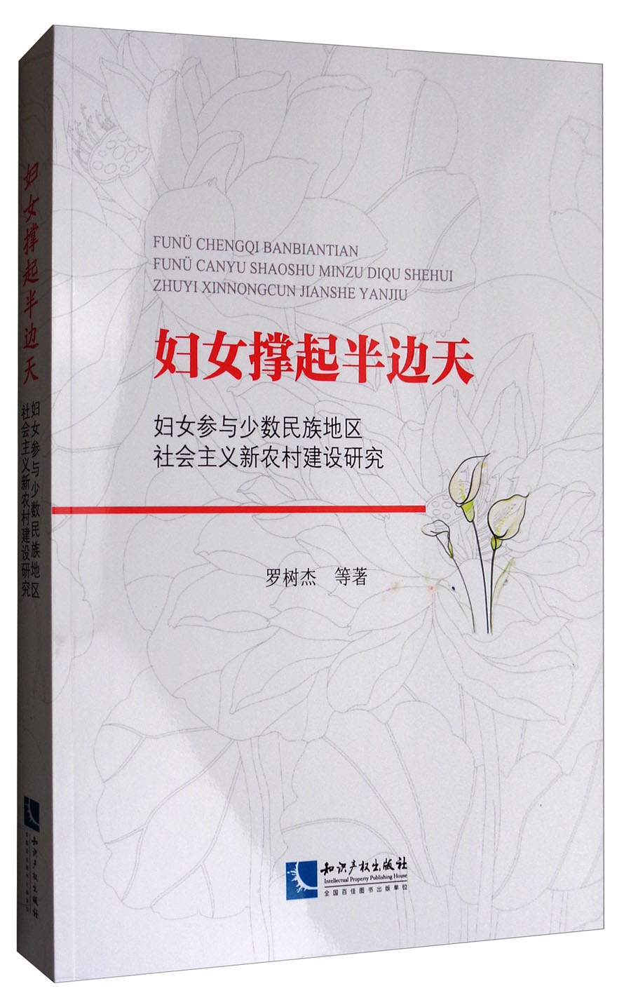 妇女撑起半边天：妇女参与少数民族地区社会主义新农村建设研究