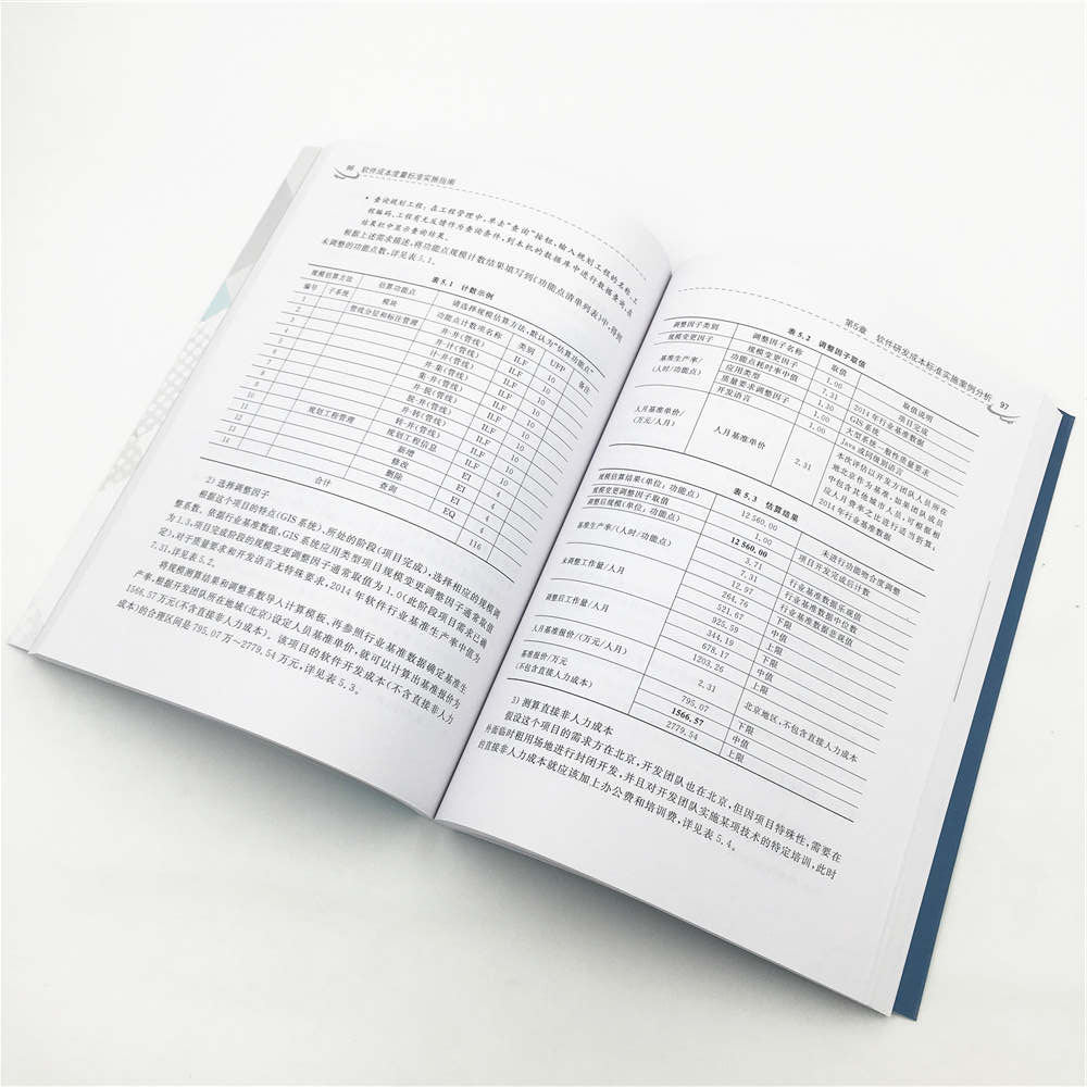 软件成本度量标准实施指南详情图