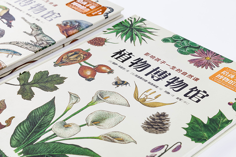 动物博物馆+植物博物馆（套装共2册）详情图