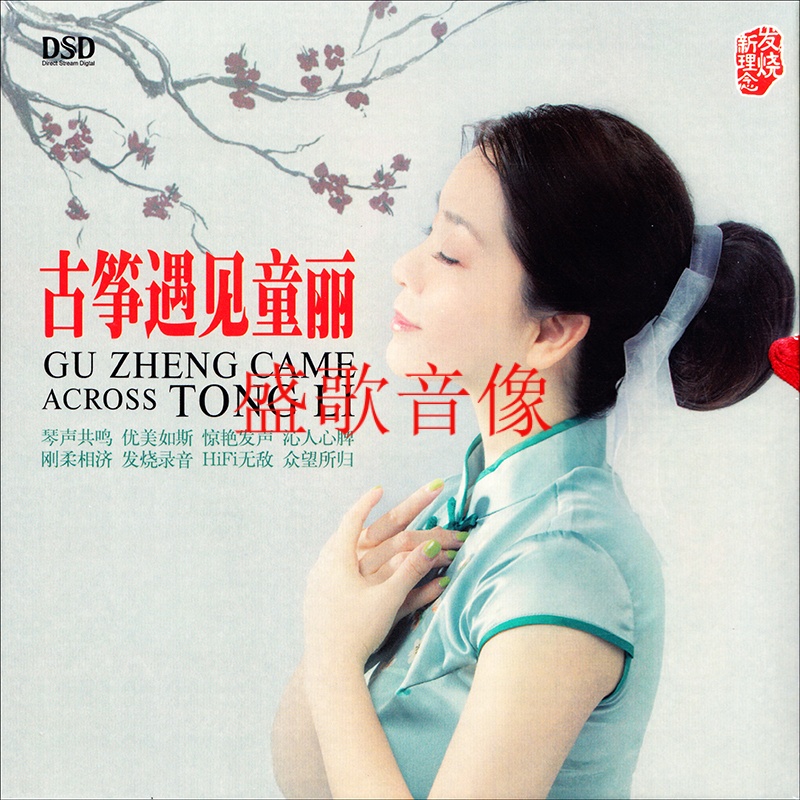 童丽发烧碟 古筝遇见童丽 cd