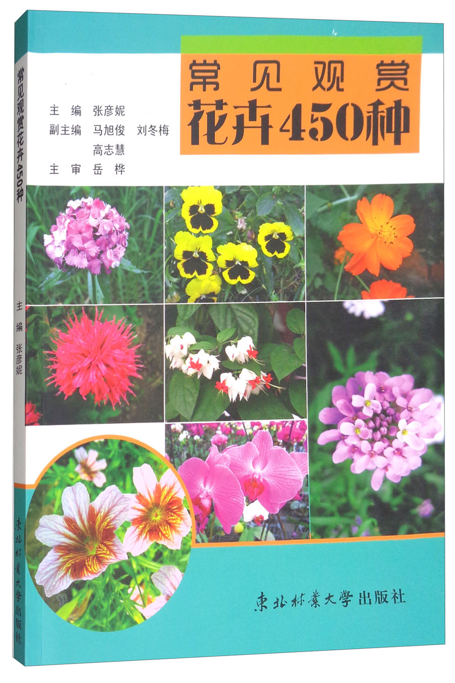 常见观赏花卉450种