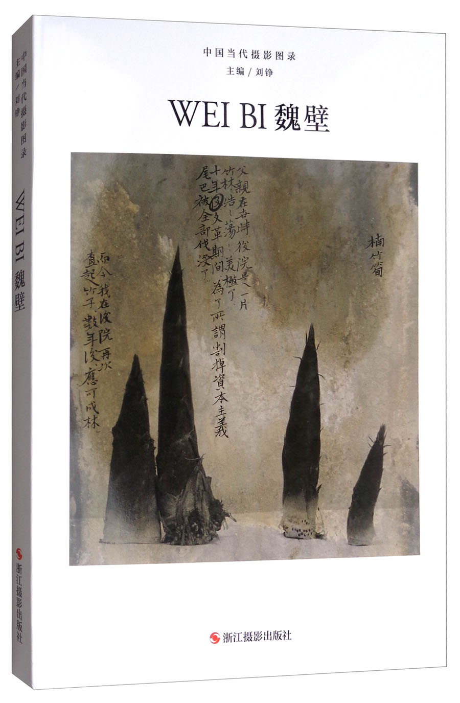 魏壁/中国当代摄影图录