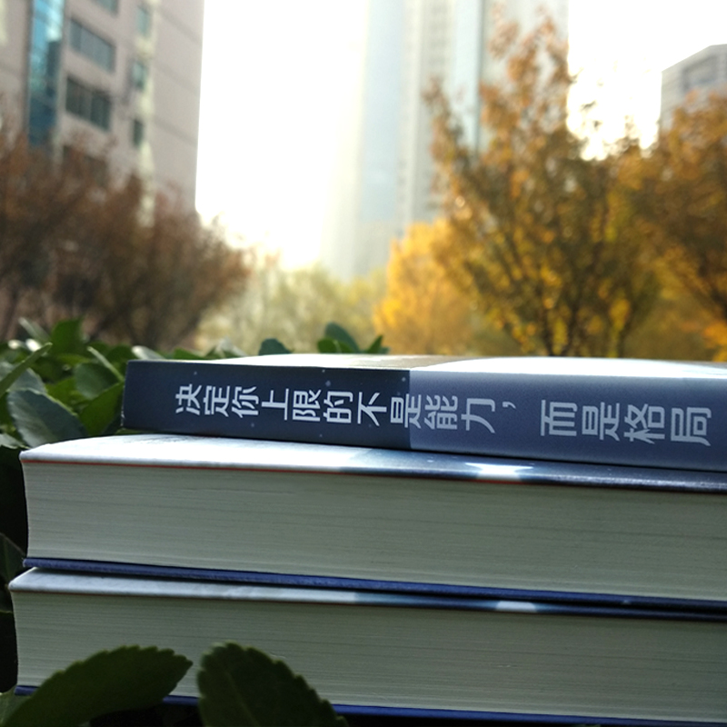决定你上限的不是能力，而是格局详情图
