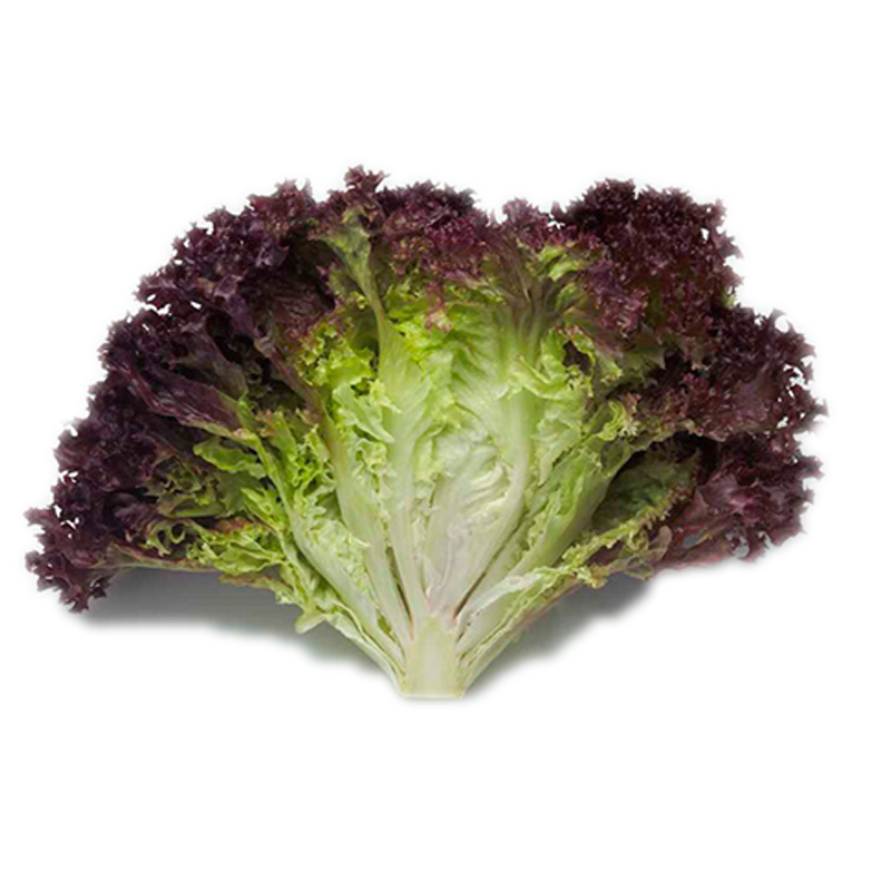 麦果苏生鲜官方旗舰店