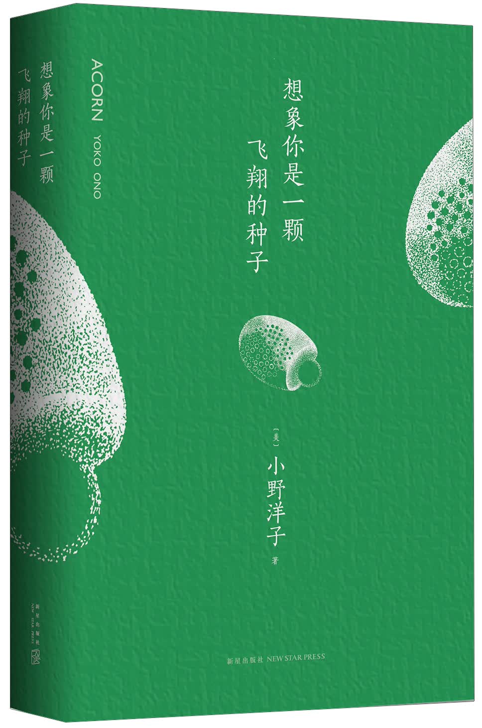 想象你是一颗飞翔的种子