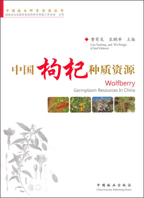 中国枸杞种质资源