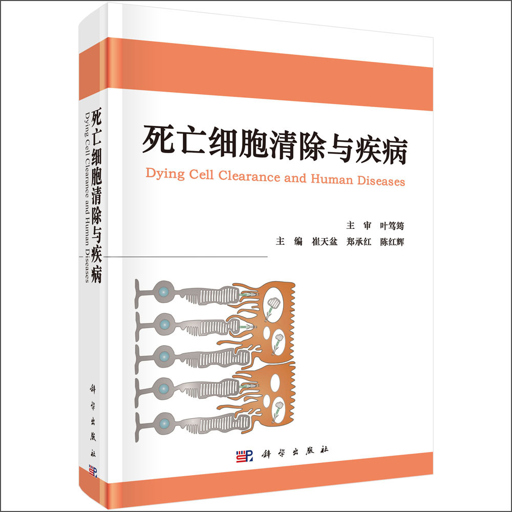 死亡细胞清除与疾病