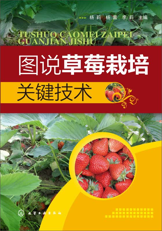 图说草莓栽培关键技术怎么看?