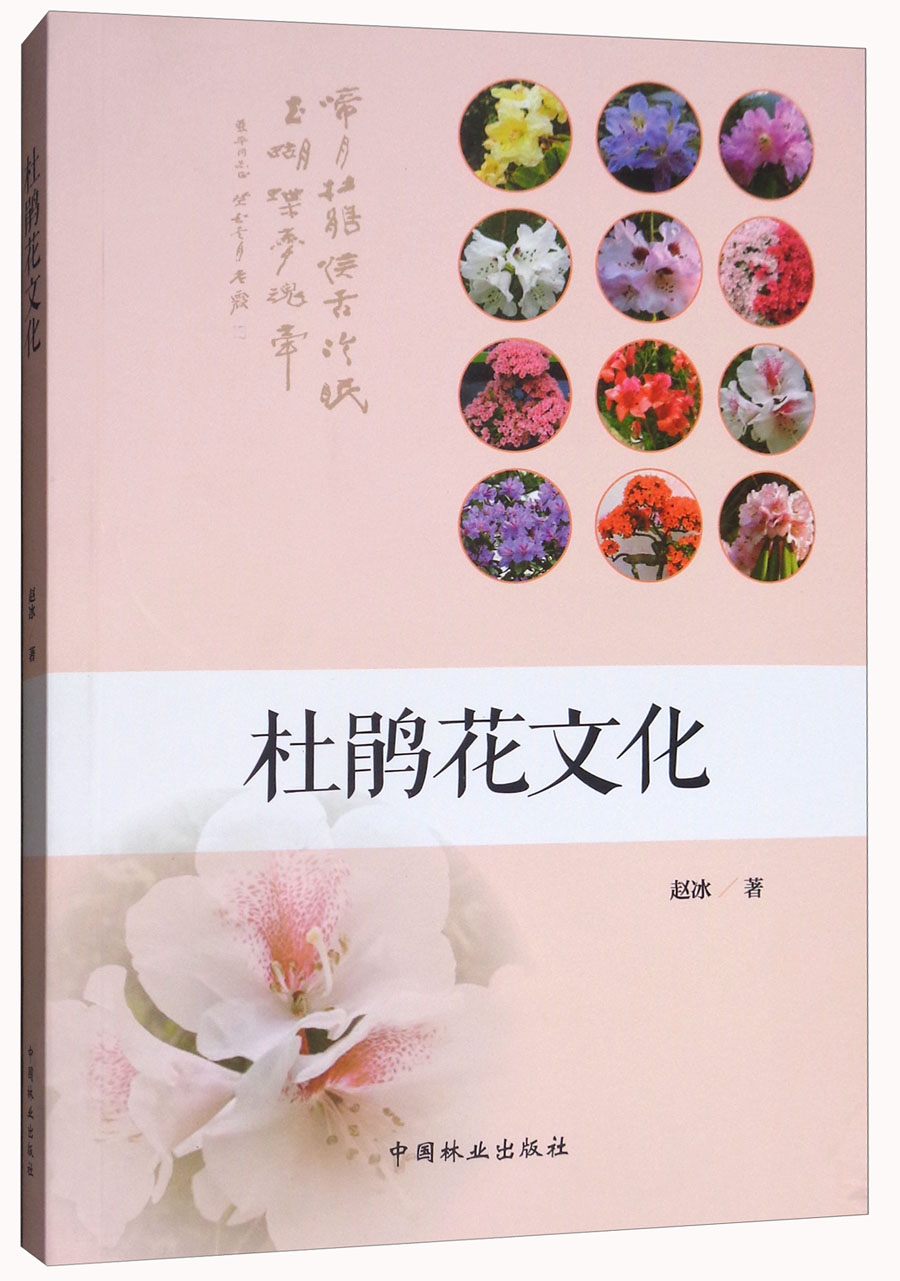 正版 杜鹃花文化 9787503893452