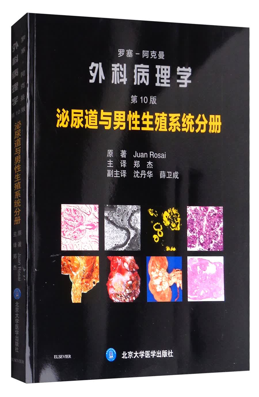 罗塞阿克曼外科病理学（第10版）：泌尿道与男性生殖系统分册