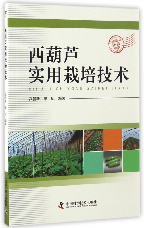 西葫芦实用栽培技术