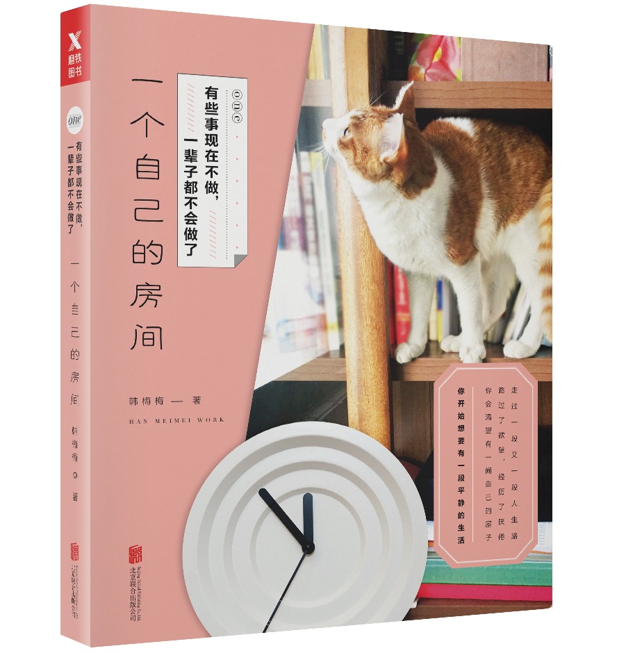 有些事现在不做,一辈子都不会做了: 一个自己的房间(新版)