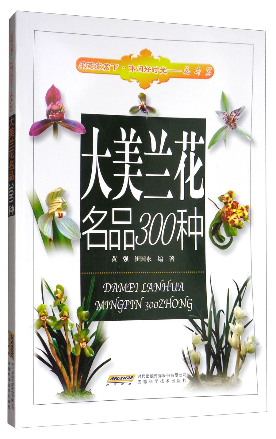 大美兰花名品300种/采菊东篱下·休闲好时光
