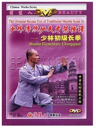 少林传统功夫老架捶谱-初级长拳 1dvd