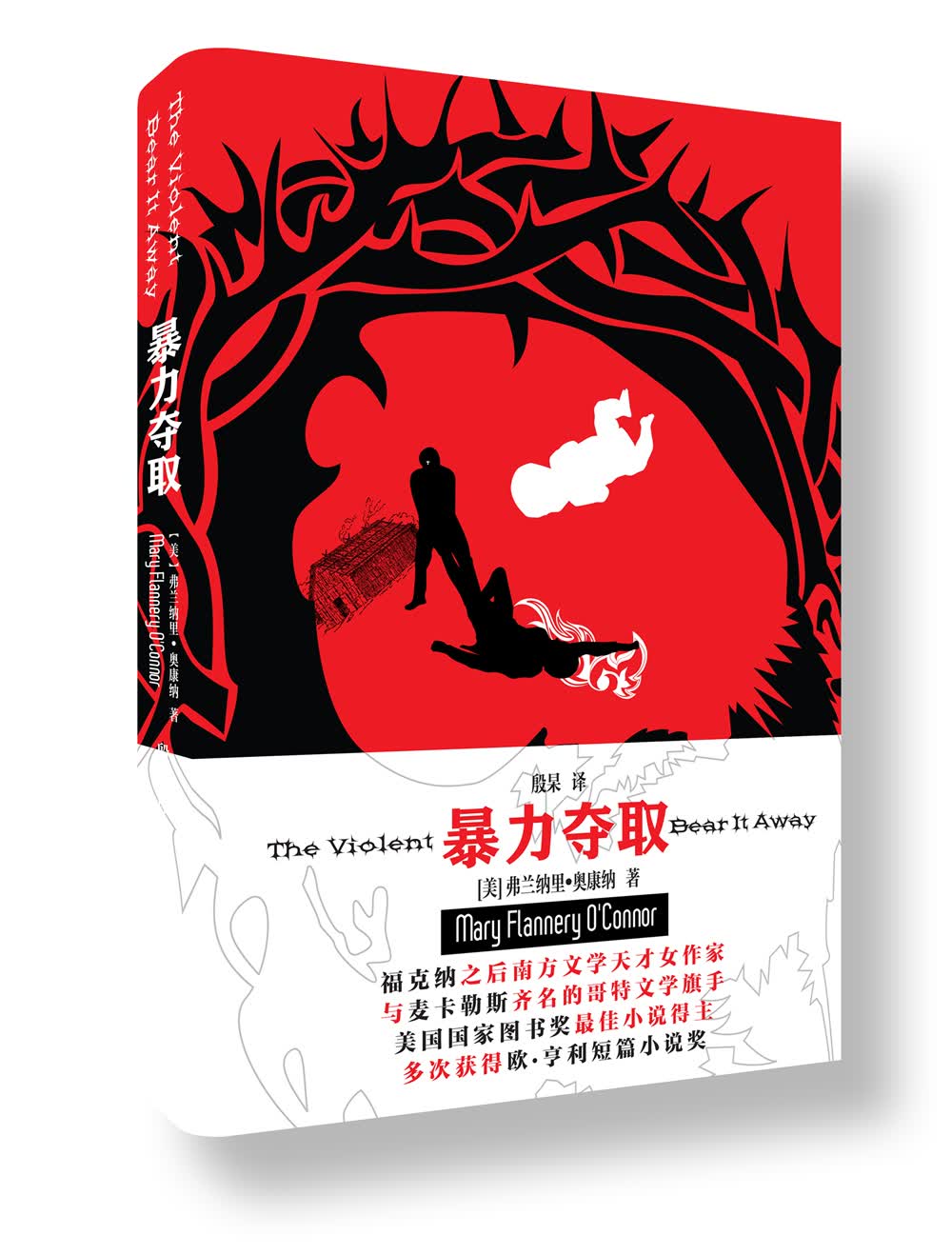 暴力夺取