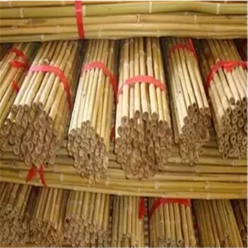 晟誉隆 竹竿庭院菜园蔬菜搭架栏杆园艺篱笆竹围栏竹子栅栏旗竹杆竹干