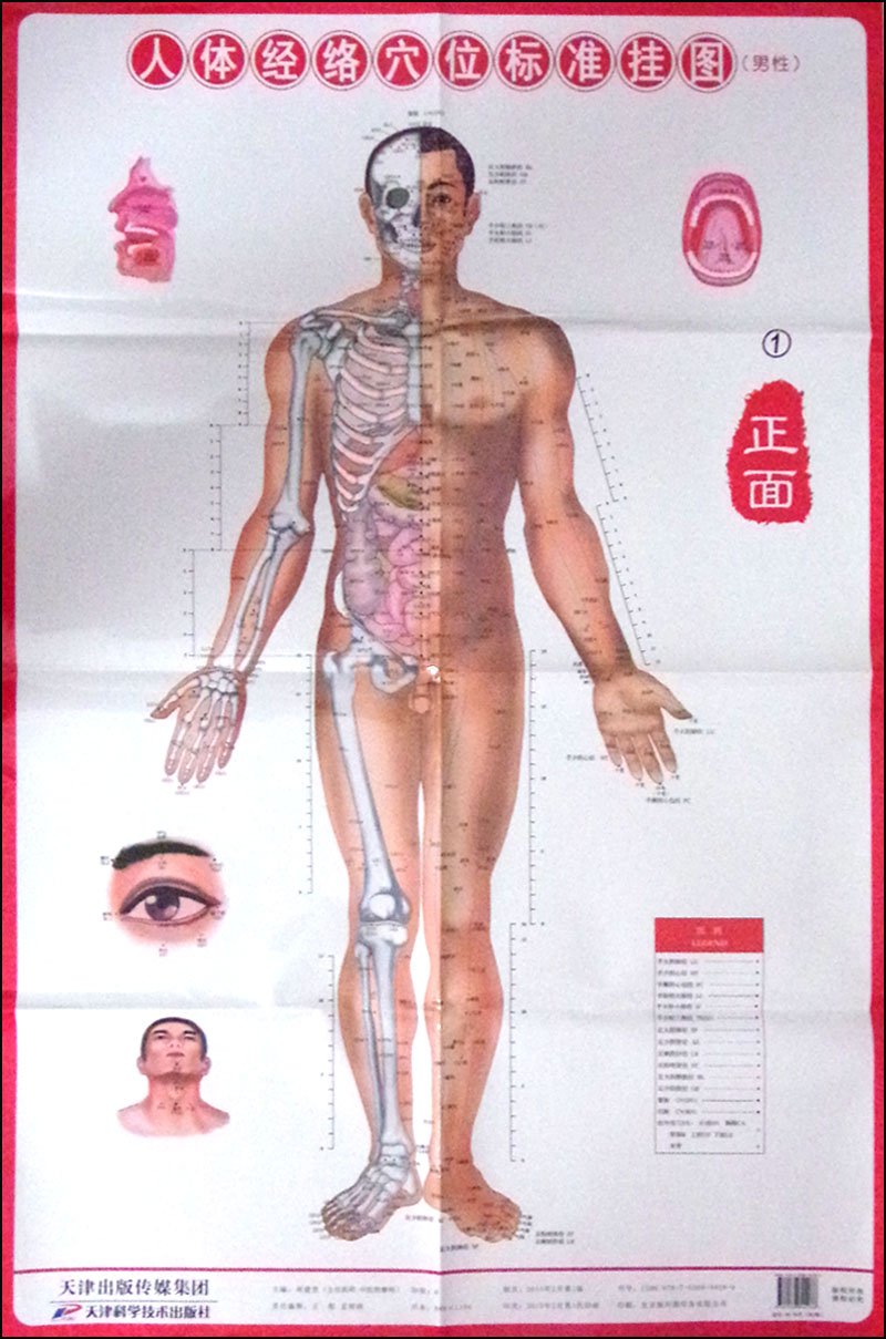 人体经络穴位标准挂图(男性)(3张)中医人体经络挂图 家庭保健养生医学