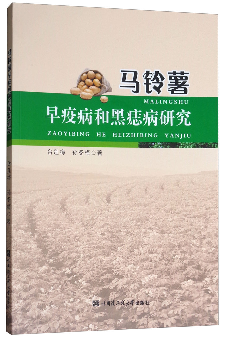 马铃薯早疫病和黑痣病研究