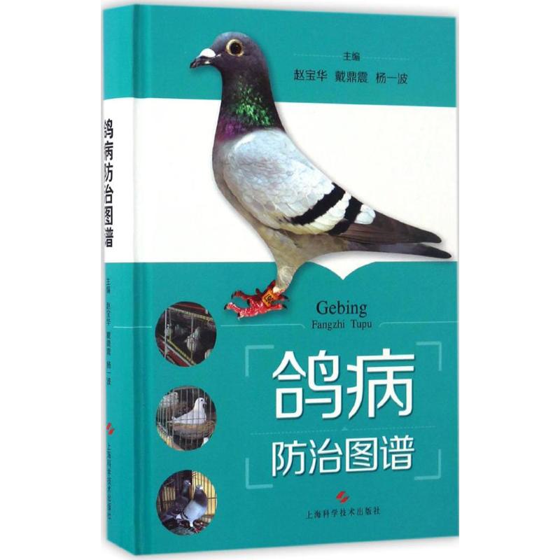 鸽病防治图谱