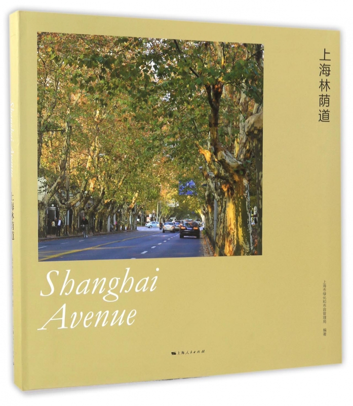 上海林荫道