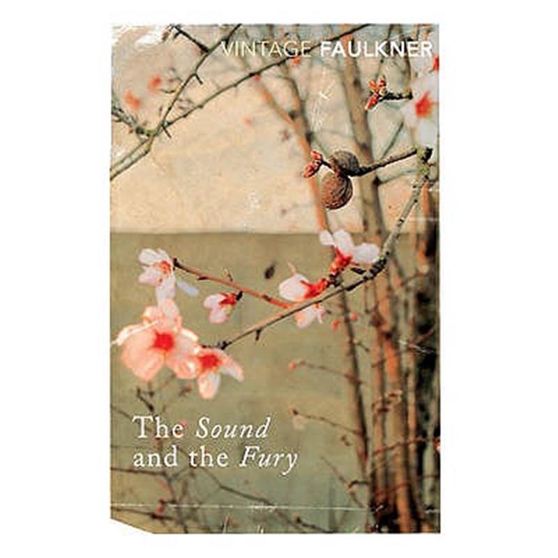 喧哗与骚动 英文原版 The Sound and the Fury 威廉 福克纳获奖 经典小说