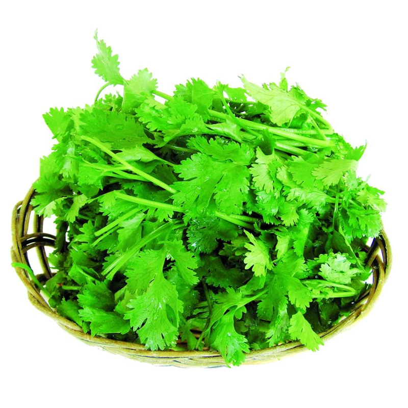 蔡家洼大货栈 香菜 菜味浓郁 新鲜蔬菜 调味料蔬菜火锅酱料 200g