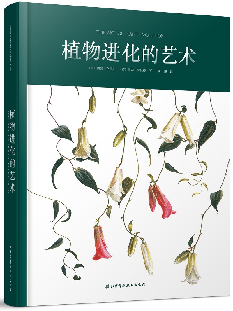 植物进化的艺术精