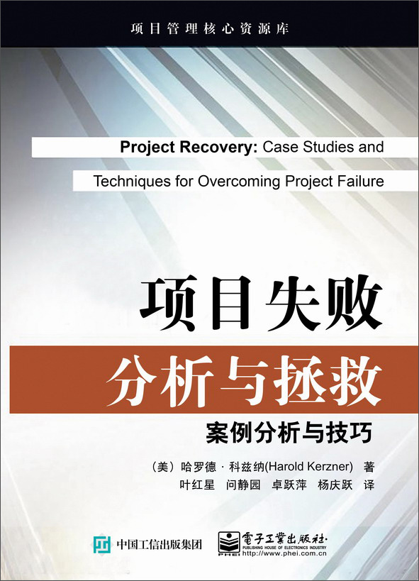 项目失败分析与拯救：案例分析与技巧