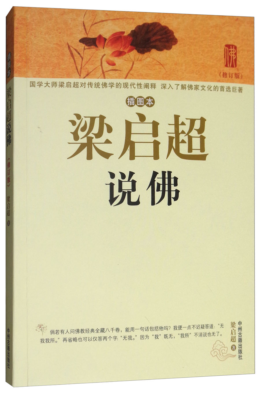 梁启超说佛（插图本修订版）