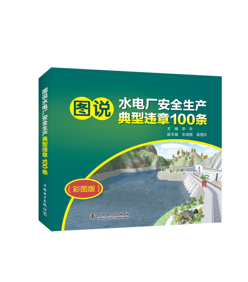 图说水电厂安全生产典型违章100条