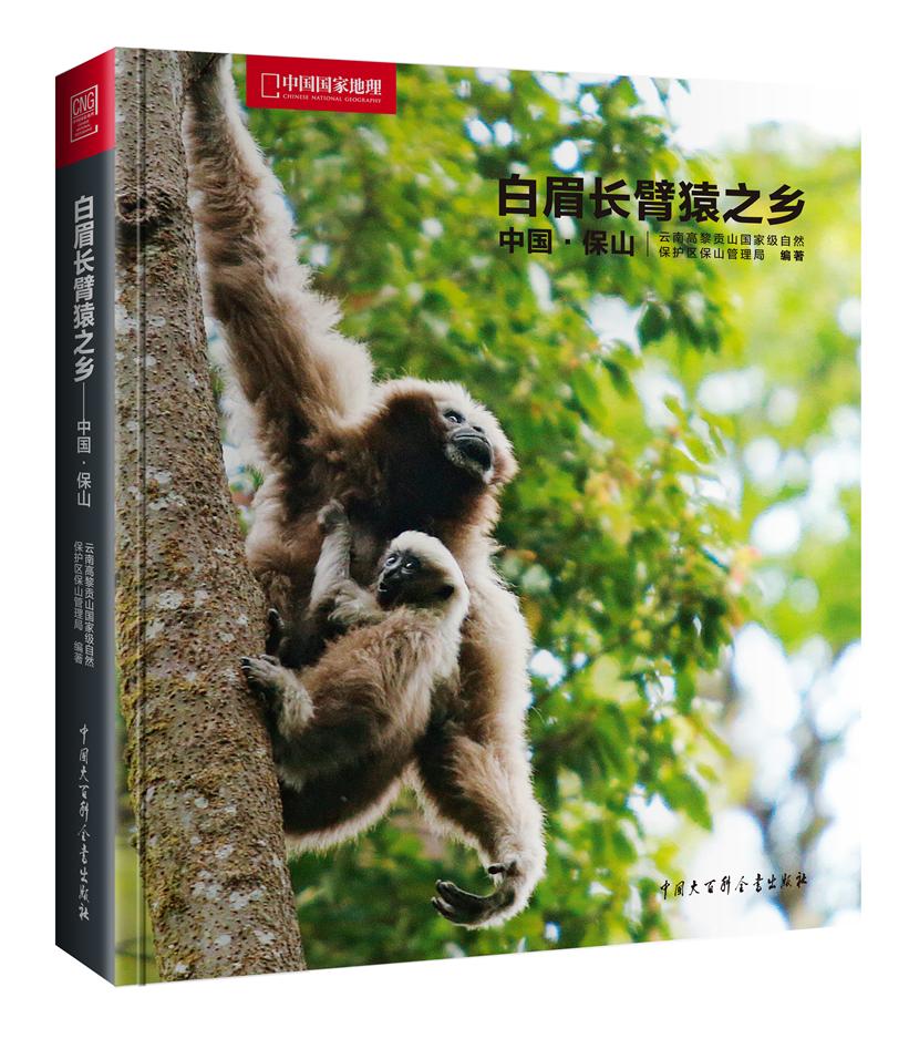 白眉长臂猿之乡中国·保山