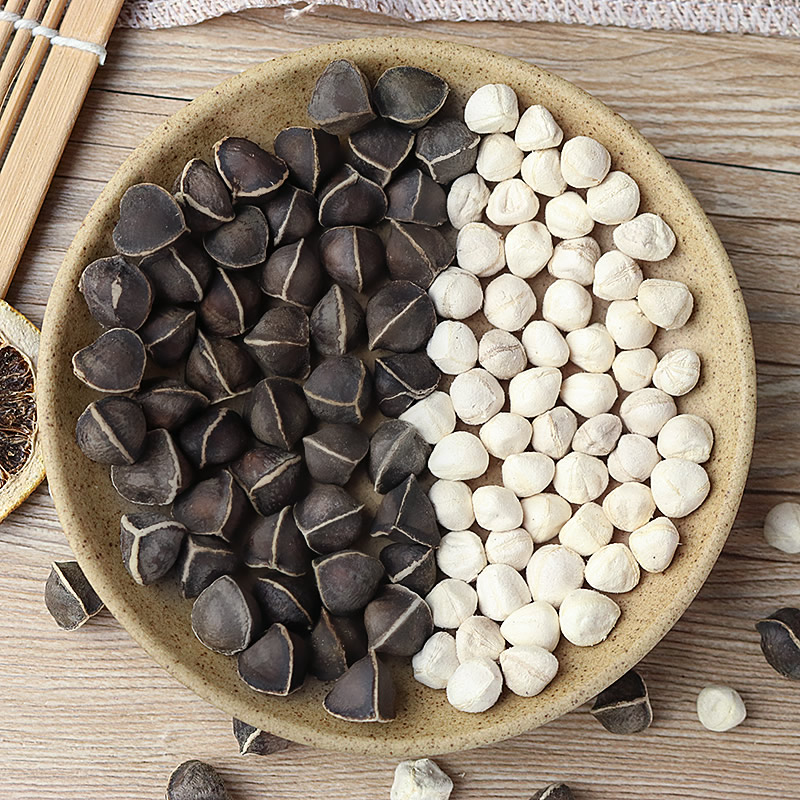 【大果250g/罐*2共500g】藏集本草 辣木籽非印度进口特级辣木子茶