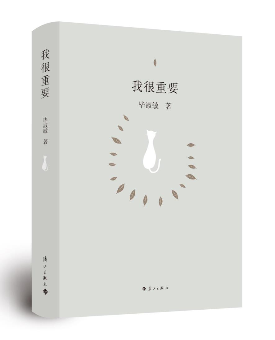 我很重要（精装）