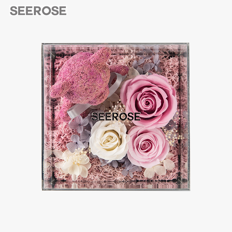 西罗斯（SEEROSE）进口永生花苔藓玫瑰花束小熊礼盒结婚季情人节生日送女生朋友礼物 我爱你宝贝-粉色-礼盒装