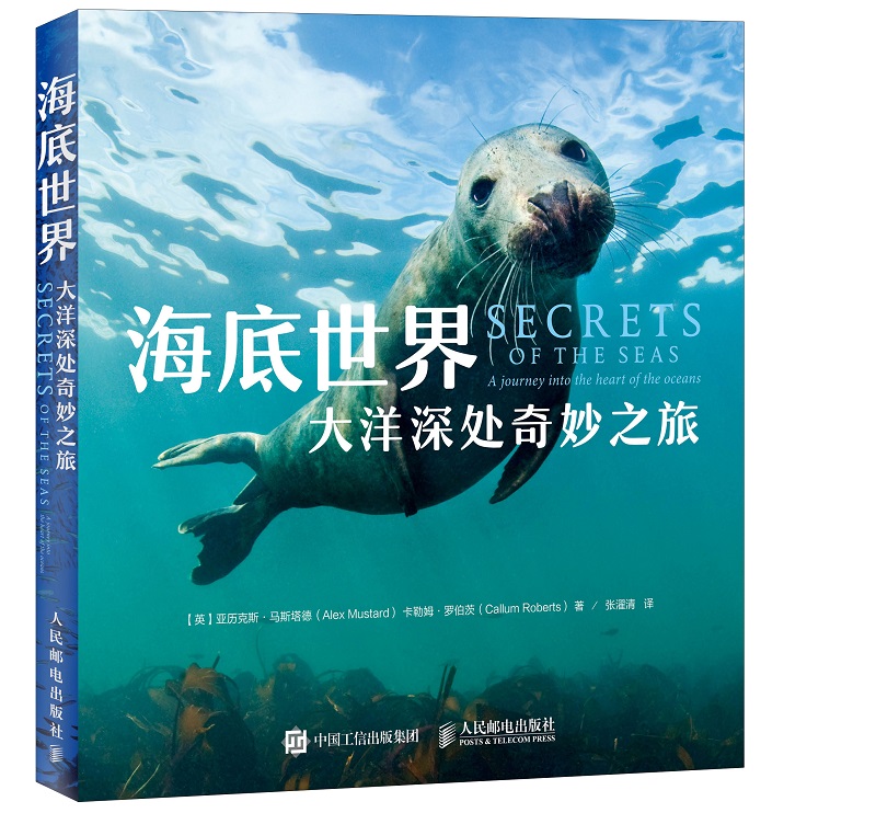海底世界 大洋深处奇妙之旅（异步图书出品）