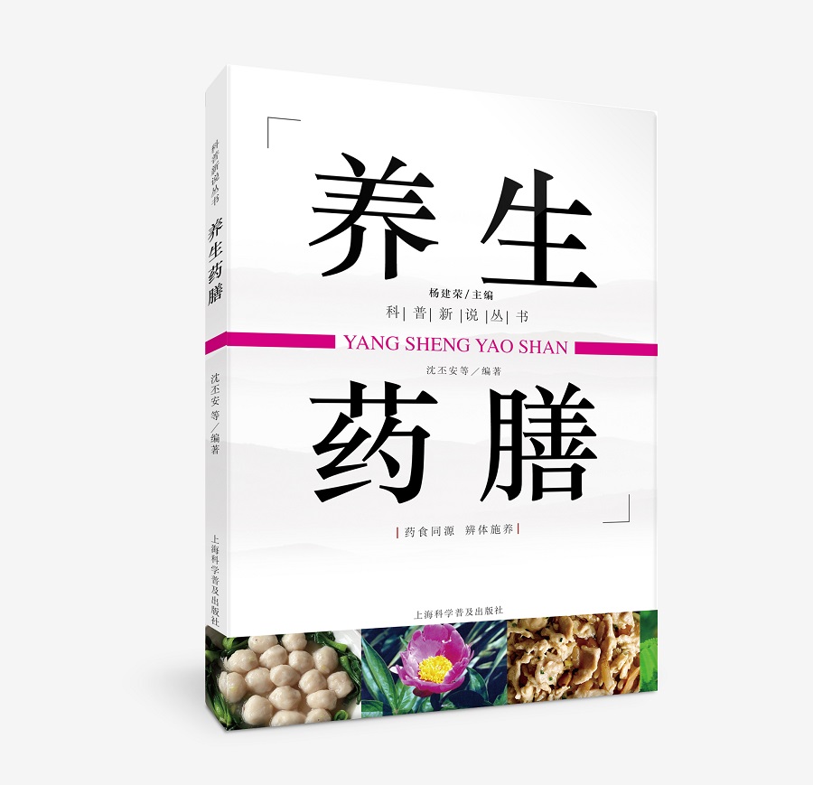 养生药膳 沈丕安