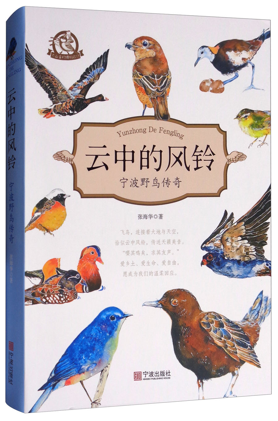 云中的风铃：宁波野鸟传奇