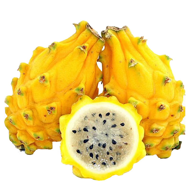 帆儿庄园 麒麟果金燕窝果黄皮黄色火龙果应季孕妇时令水果新鲜水果
