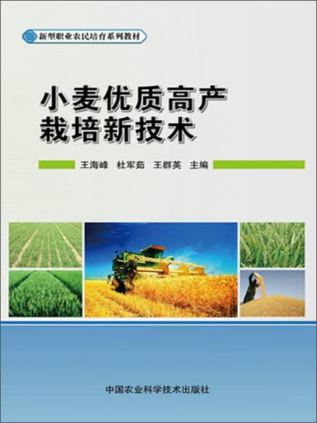 小麦优质高产栽培新技术