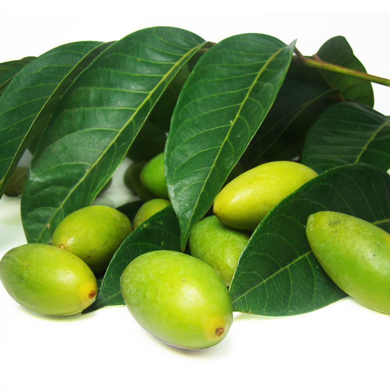 闽臻闽臻现摘闽清檀香新鲜橄榄500g福建特产青果孕妇水果青橄榄